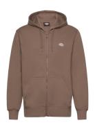 Summerdale Zip Through Designers Sweatshirts & Hoodies Hoodies Brown D...