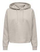 Onpcomfort Ls Brush Hood Swt Tops Sweatshirts & Hoodies Hoodies Beige ...