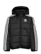 Padded Jacket Sport Jackets & Coats Puffer & Padded Black Adidas Origi...