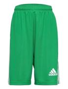 Squadra 21 Short Youth Sport Shorts Sport Shorts Green Adidas Performa...