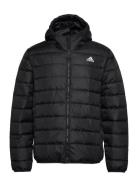 Ess L D H J Sport Jackets Padded Jackets Black Adidas Sportswear