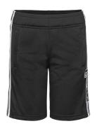 Shorts Sport Shorts Sport Shorts Black Adidas Originals