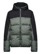 Hooded Jacket Sport Jackets & Coats Puffer & Padded Green Champion