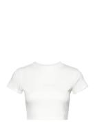 A 90S Crop Tee Tops Crop Tops Short-sleeved Crop Tops White ABRAND