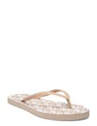 Susan - Flip Flop Shoes Summer Shoes Sandals Flip Flops Beige DKNY