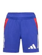 Tiro24 C Trshoy Sport Shorts Sport Shorts Blue Adidas Performance