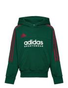 J Np Hoodie Tops Sweatshirts & Hoodies Hoodies Green Adidas Sportswear