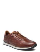 Editta Low-top Sneakers Brown Lloyd