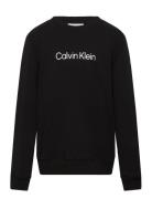 Inst. Logo Regular Cn Tops T-shirts Long-sleeved T-Skjorte Black Calvi...