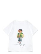 Polo Bear Cotton Jersey Tee Tops T-Kortærmet Skjorte White Ralph Laure...