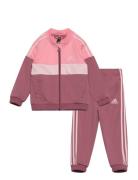 I Tiberio Ts Sets Tracksuits Pink Adidas Sportswear