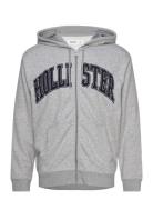 Hco. Guys Sweatshirts Tops Sweatshirts & Hoodies Hoodies Grey Holliste...