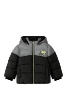 Nmmmorten Puffer Jacket Dino Detail Foret Jakke Black Name It