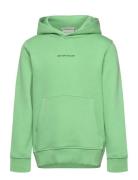 Printed Hoody Tops Sweatshirts & Hoodies Hoodies Green Tom Tailor