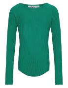 Rochelle Tops T-shirts Long-sleeved T-Skjorte Green Molo