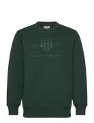 Reg Tonal Shield C-Neck Sweat Tops Sweatshirts & Hoodies Sweatshirts G...