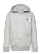 Dhm Bb Zip Hoodie Tops Sweatshirts & Hoodies Hoodies Grey U.S. Polo As...