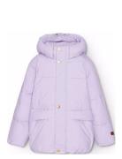Hayden Foret Jakke Purple Molo
