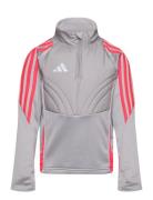 Tiro24 Wintopy Sport Sweatshirts & Hoodies Sweatshirts Grey Adidas Per...