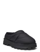 Frost Slip-On Sneakers Black Steve Madden