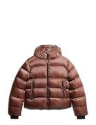 Hooded Luxe Sports Puffer Foret Jakke Brown Superdry