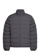 Ayu Padded Jacket Foret Jakke Black Daily Paper