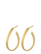 Berlin Creoles 25 Mm Designers Jewellery Earrings Hoops Gold Pernille ...