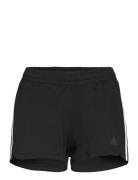 Pacer 3S Knit Bottoms Shorts Sport Shorts Black Adidas Performance