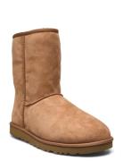 M Classic Short Shoes Boots Winter Boots Beige UGG