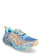 Noosa Tri 16 Sport Women Sport Shoes Sport Running Shoes Blue Asics