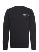 Borg Essential 1 Crew Sport Men Sport Clothing Sport Sweatshirts & Hoo...