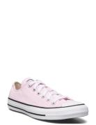 Chuck Taylor All Star Sport Women Sport Shoes Sport Sneakers Sport Low...