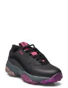 Fila Loligo Cb Wmn Sport Women Sport Shoes Sport Sneakers Sport Low To...