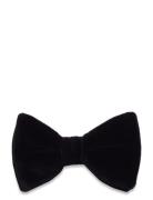 James Bow Tie Butterfly Black Oscar Jacobson