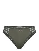 Leia Brazilian Lingerie Panties Brazilian Panties Khaki Green Missya