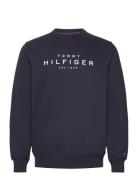 Tommy Hilfiger Sweatshirt Tops T-Langærmet Skjorte Navy Tommy Hilfiger