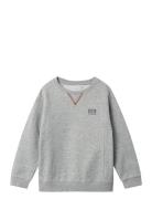 Nkmlore Ls Nreg Swe Bru Tops Sweatshirts & Hoodies Sweatshirts Grey Na...