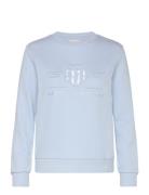 Reg Tonal Shield C-Neck Sweat Tops Sweatshirts & Hoodies Sweatshirts B...