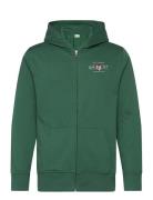 Graphic Fullzip Hoodie Tops Sweatshirts & Hoodies Hoodies Green GANT
