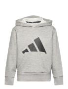 J Bl Ft Hd 280 Tops Sweatshirts & Hoodies Hoodies Grey Adidas Sportswe...