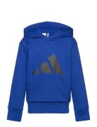 J Bl Ft Hd 280 Tops Sweatshirts & Hoodies Hoodies Blue Adidas Sportswe...