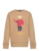 Lunar New Year Polo Bear Sweatshirt Tops Sweatshirts & Hoodies Sweatsh...