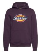 M Icon Logo Hoodie Tops Sweatshirts & Hoodies Hoodies Purple Dickies