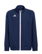 Ent22 Prejkty Sport Sweatshirts & Hoodies Sweatshirts Navy Adidas Perf...