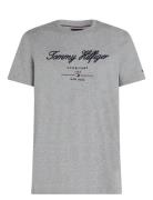 Script Logo Tee Tops T-Kortærmet Skjorte Grey Tommy Hilfiger