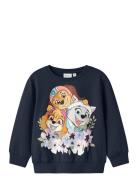 Nmfjura Paw Nreg Sweat Unb Cplg Tops Sweatshirts & Hoodies Sweatshirts...