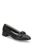 Tancy Ballerinasko Ballerinaer Black Wonders