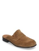 Shoes Shoes Mules & Slip-ins Flat Mules Brown Billi Bi