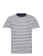 Essential Cotton Tee S/S Tops T-Kortærmet Skjorte Navy Tommy Hilfiger