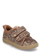 Shoes - Flat - With Velcro Low-top Sneakers Beige ANGULUS